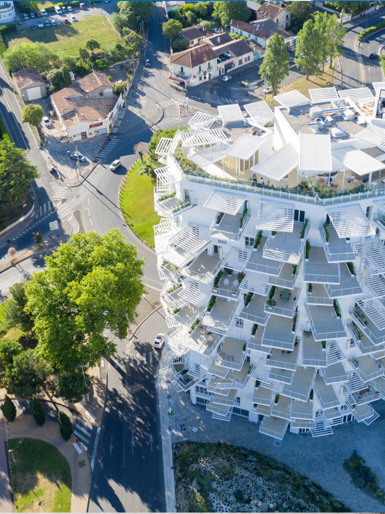 culturejardin_arbre_blanc_montpellier_02